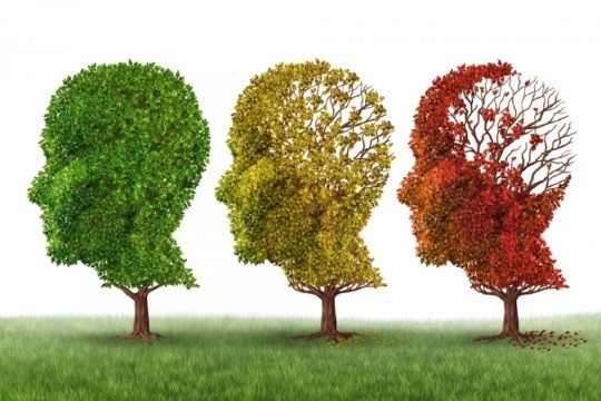 Çağımızın Hastalğı Alzheimer Hastalığı Süreçleri ve Bilinmesi Gerekenler